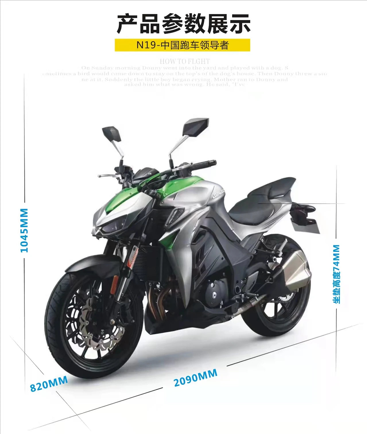 Top Sale Disc Brake Outdoor Sports High Speed 450cc Gasoline Motorbike Water Cooling EFI Gas Engine Racing Motorcycles
