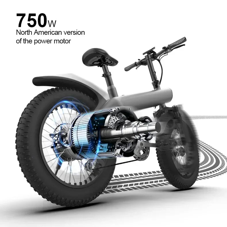 Ebike Q3 PLUS 48v 750w 13ah 20 inch fat tire folding off-road bike adult off-road mountain electric hybrid bike