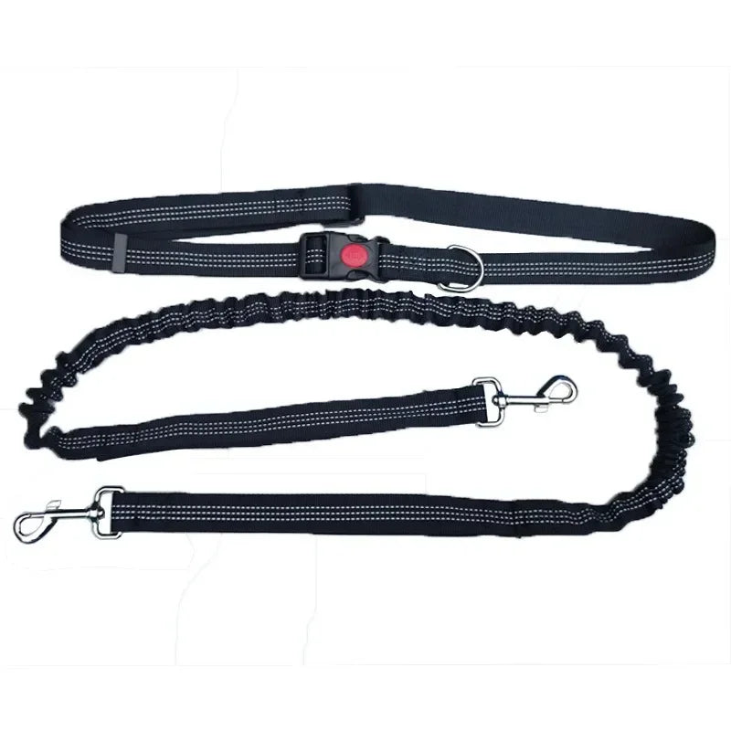 Reflective Leash Traction Rope Pet Dog Running Belt for Pet Outdoor Walking 2N1 Hand Free Waist Belt Chest Strap Traction Rope