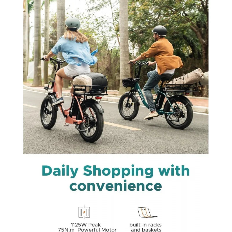QENGWE 1125W Bike for Adults, L20 2.0 20''×3.0" Fat Tire Electric Bicycle 52V 13Ah Removable Battery Max Ran