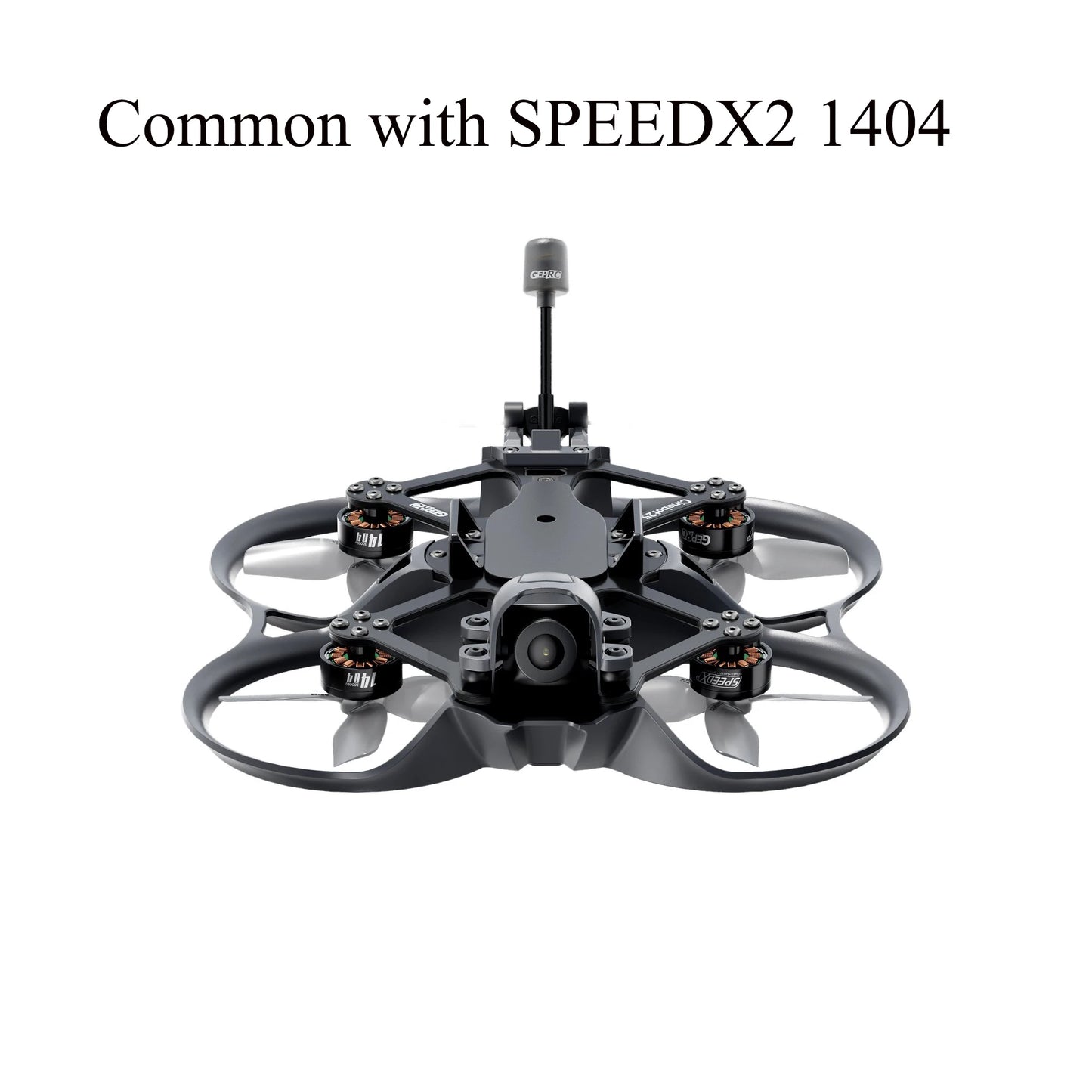 43211989745711|43211989811247|43211989844015