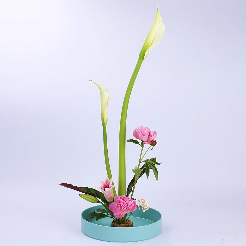 Round Plastic Flower Bonsai Pot Vase Suiban Ikebana Plastic
