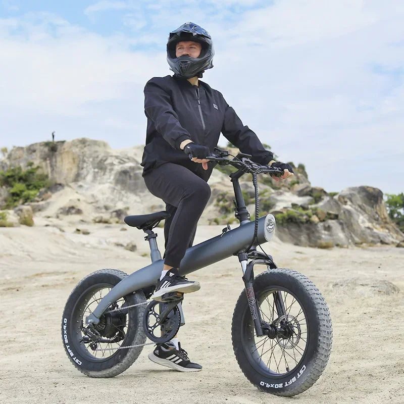 Ebike Q3 PLUS 48v 750w 13ah 20 inch fat tire folding off-road bike adult off-road mountain electric hybrid bike